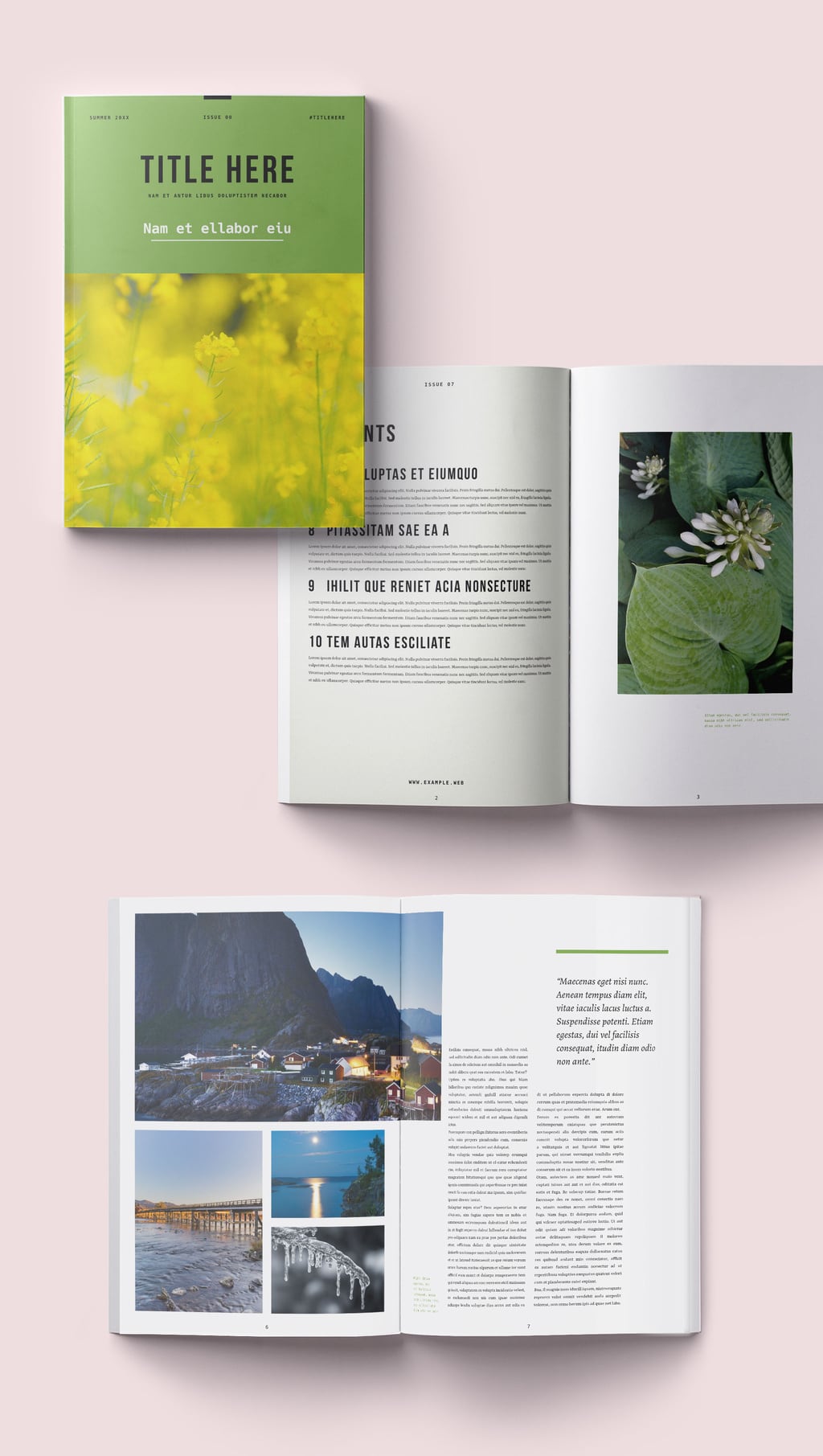 80 Indesign Magazine Templates Ideas 34