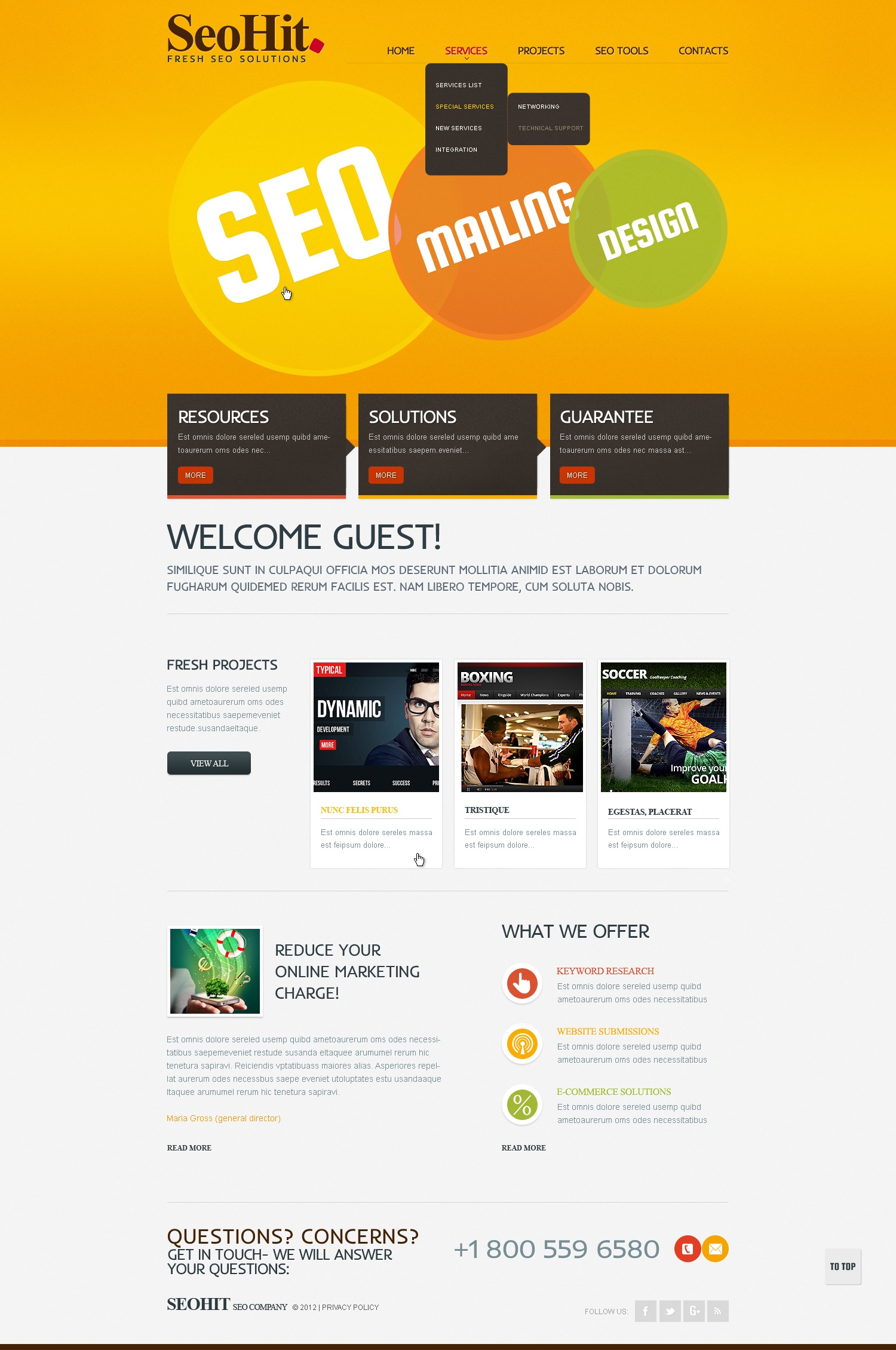 80 Seo Website Templates Ideas 24