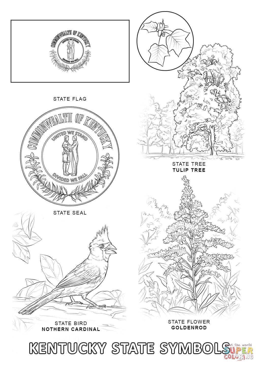 Best 40 Usa Symbols Coloring Pages Ideas 33